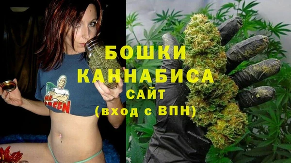 mix Богородицк