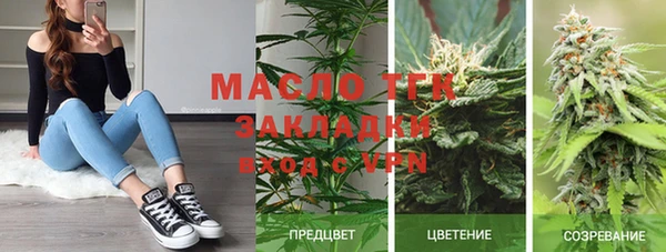 mix Богородицк