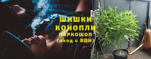 тгк Богородск