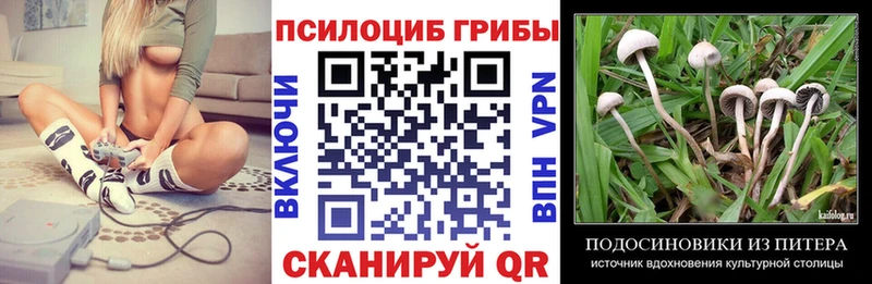 Псилоцибиновые грибы MAGIC MUSHROOMS Узловая